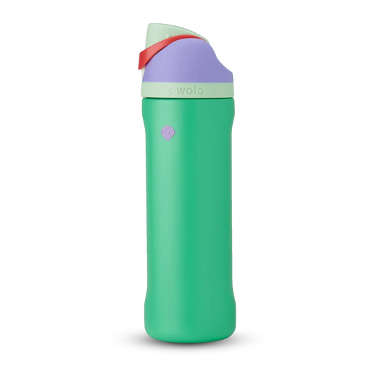 Disney Princess Collection owaloo